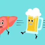 How Alcohol Affects Your Liver